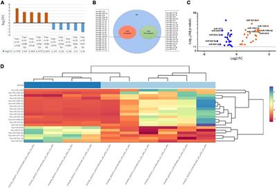 Salivary microRNA profiling dysregulation in autism spectrum disorder: A pilot study